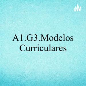 A1.G3.Modelos Curriculares