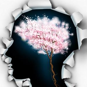 Mind Blossom Film Podcast