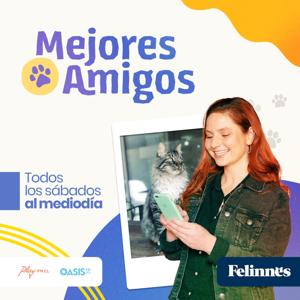 Mejores Amigos