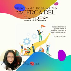 Programa Formativo Acerca Del Estrés - Viesantore