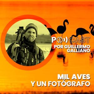 Mil Aves y un Fotógrafo