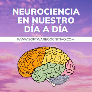 Neurociencia en nuestro día a día