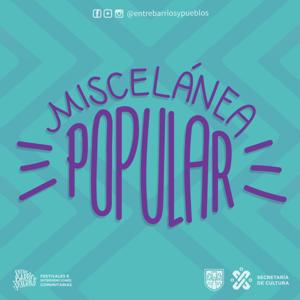 Miscelánea Popular