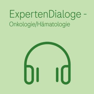 ExpertenDialoge