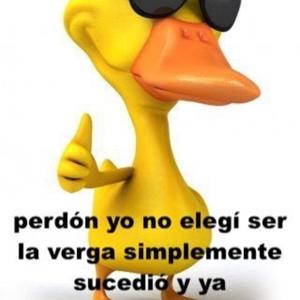 Unos weyes en la terraza