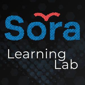 Sora Learning Lab