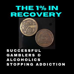 The 1% in Recovery    Successful Gamblers & Alcoholics Stopping Addiction by Hugo V