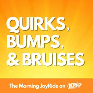 Quirks, Bumps, and Bruises by The Morning JoyRide