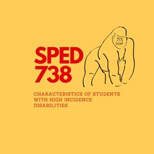 SPED 738 Characters of Students with High Incidence Disabilities