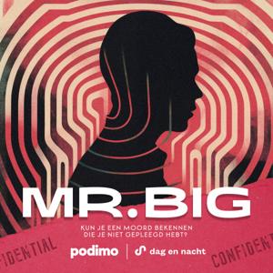 Mr. Big