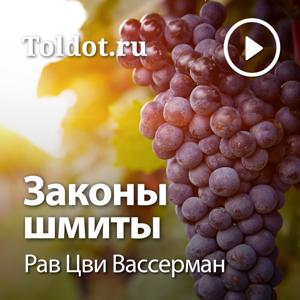 Рав Цви Вассерман  — Законы Шмиты