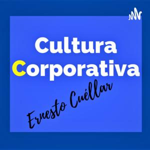 Cultura Corporativa, Identidad Corporativa, Marcas Y Dirección Estratégica