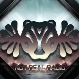 Not Real Radio