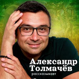 Александр Толмачёв рассказывает