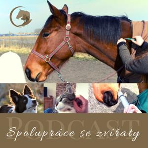 Spolupráce se zvířaty (dříve "Pozitivně k veterináři")