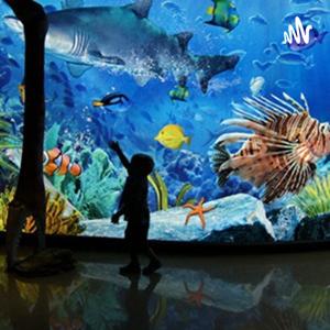 Pakistani haute bites