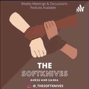 Hypothetically: A Soft Knives Podcast