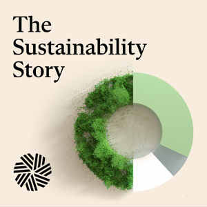 The Sustainability Story by CFA Institute