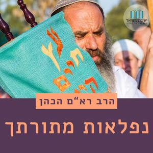 נפלאות מתורתך - הרב רא"ם הכהן