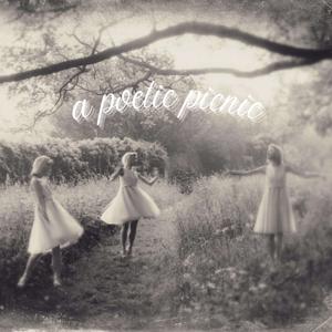 A Poetic Picnic