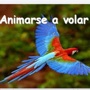 Animarse A Volar