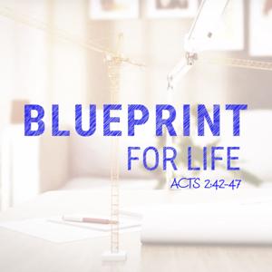 Blueprint for Life