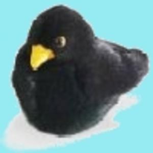 Birdpod - Birdwatching Podcast