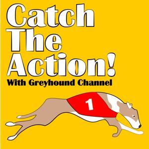 Catch The Action!