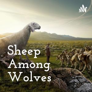 Sheep Among Wolves