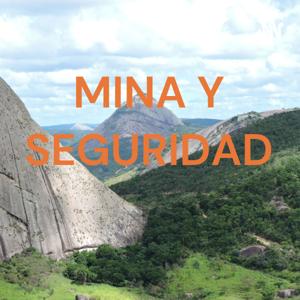 MINA Y SEGURIDAD