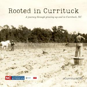 Rooted in Currituck