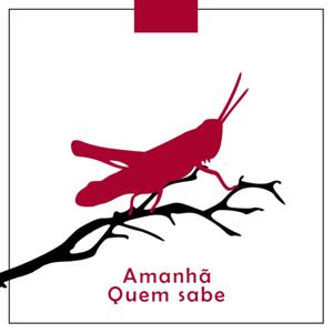 Amanhã Quem Sabe