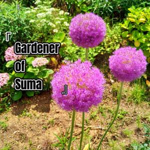 Gardener Of Suma