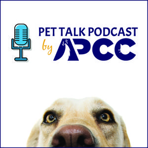 Pet Talk Podcast
