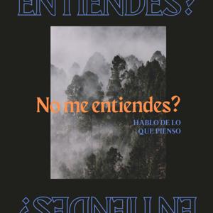 No Me Entiendes?