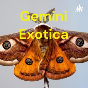 Gemini Exotica