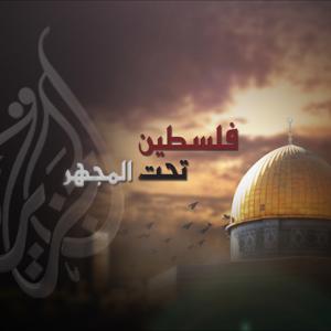 فلسطين تحت المجهر
