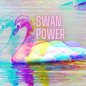 SWAN Power