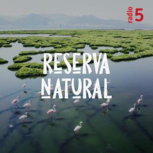 Reserva natural