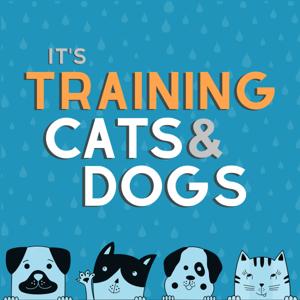 It's Training Cats and Dogs!