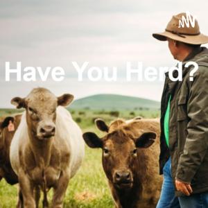Have you Herd?