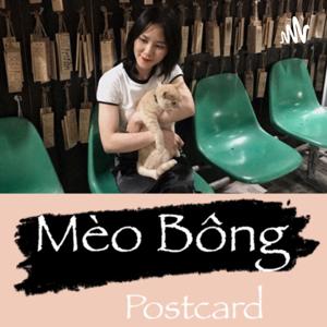 Mèo Bông