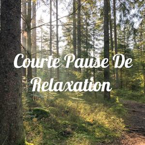 Courte Pause De Relaxation