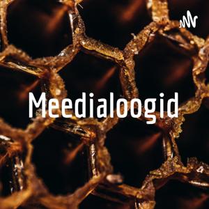 Meedialoogid