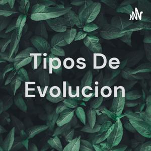 Tipos De Evolucion