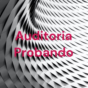Auditoria Probando