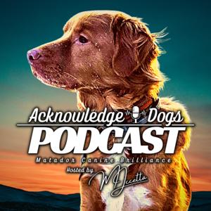 Acknowledge Dogs - Matador Canine