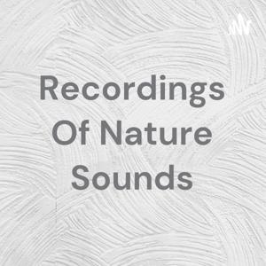 Recordings Of Nature Sounds