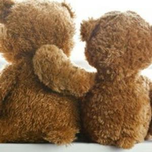 Talking Teddies