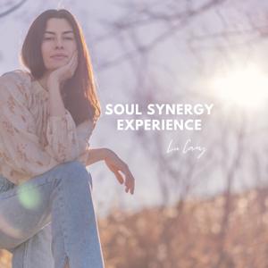 Soul Synergy Experience Podcast